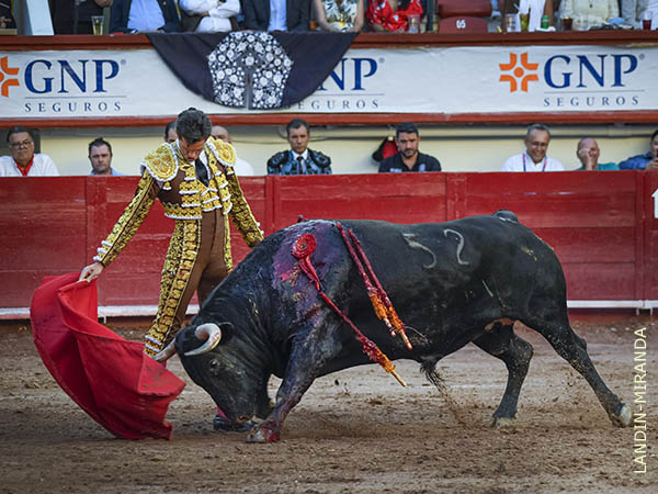 Fondo de nobleza que ten�a escondido