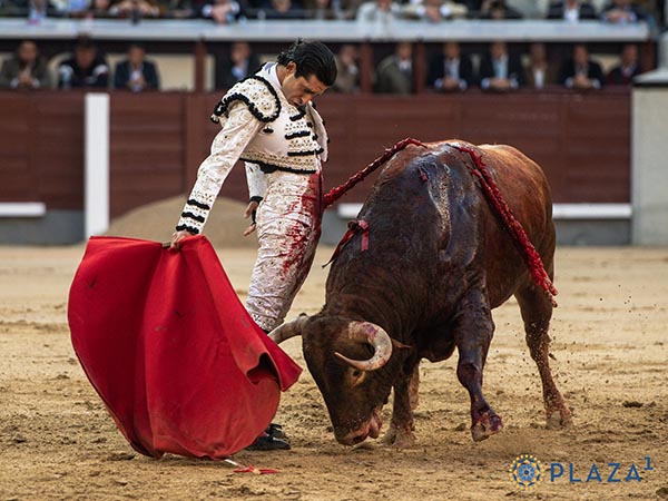 La barbilla en el pecho