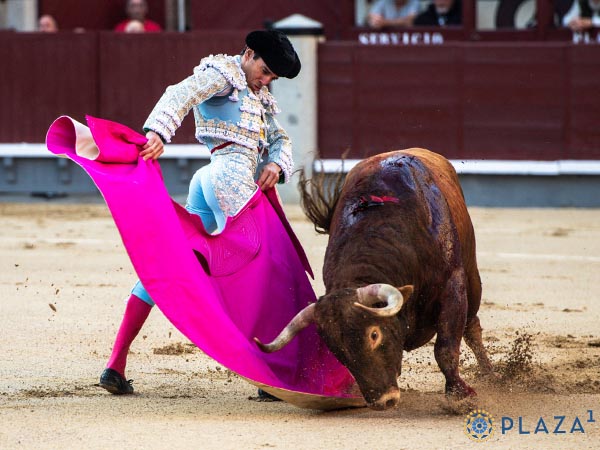 Remate de capote