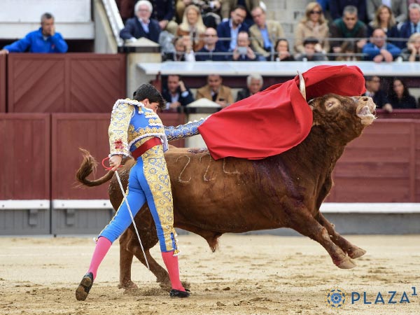 De pit�n a rabo