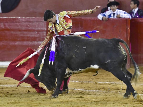 Bien armado
