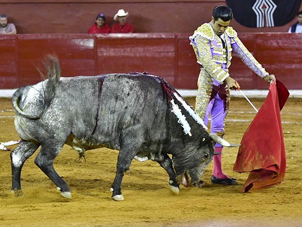Lentos ayudados