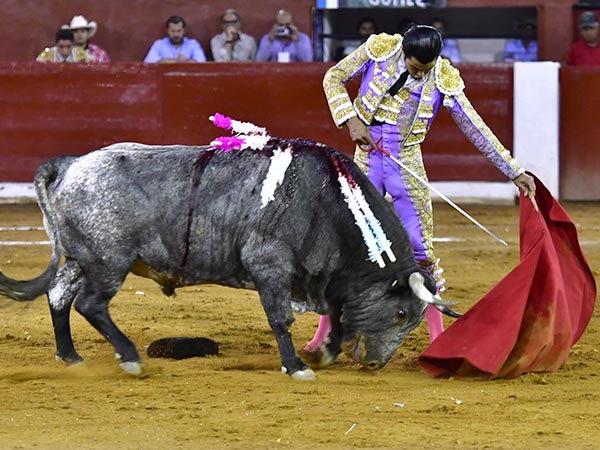 Mando torero