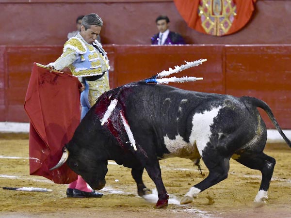 Las bernadinas de Silveti