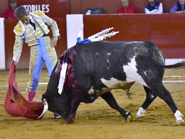 Nobleza del ejemplar