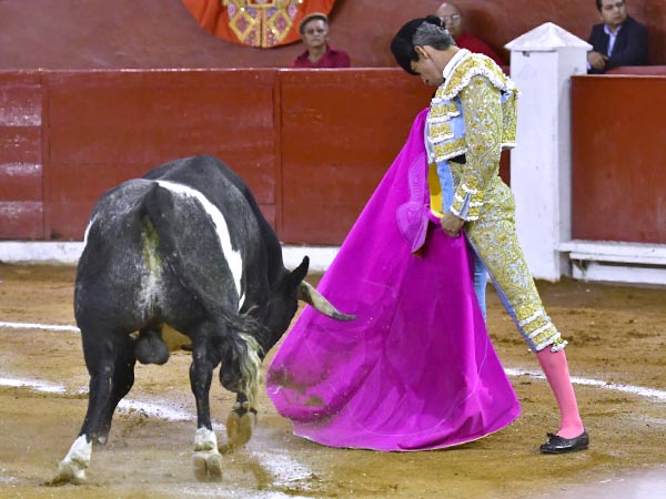 SIlveti, primer espada
