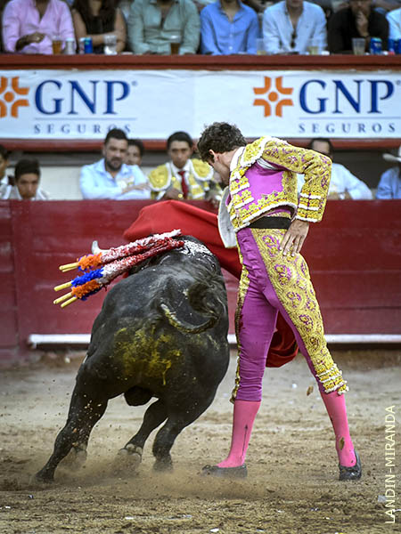 Carta joven de la baraja hispana