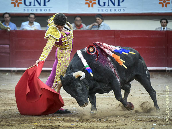 F�rrea actitud del matador