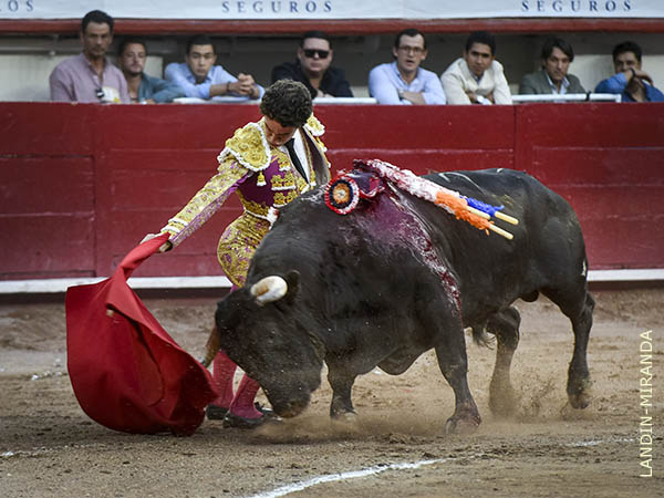 Autoridad en sus muletazos