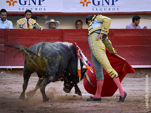 Trasteo de menos a m�s