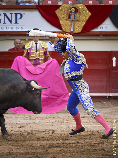 Delijorge en banderillas