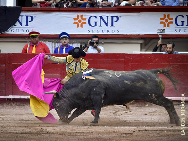 Calita, primer espada