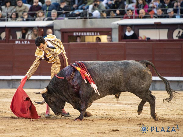 Un toro bravo entre los complejos cinque&ntilde;o