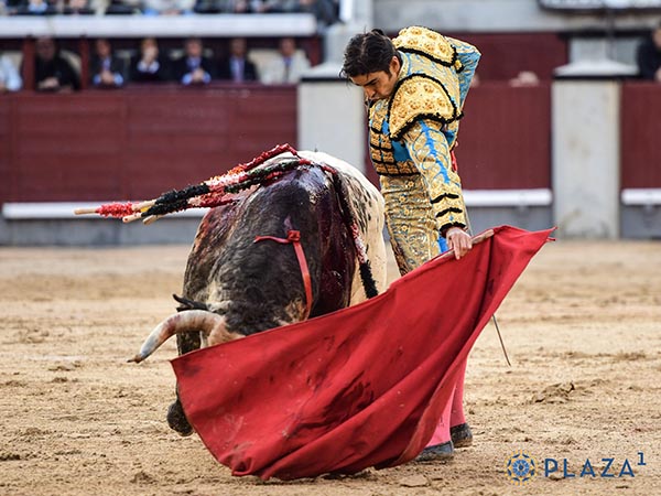 Por el lado zurdo