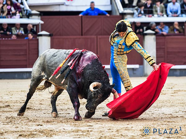 Tirando del c�rdeno