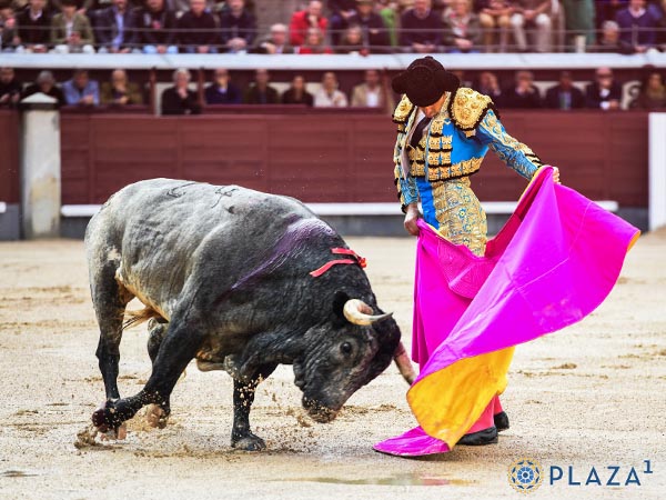 Perera, primer espada