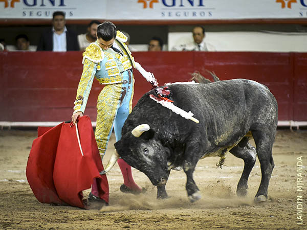 Lleg� Bruno a mostrar que est� avanzando