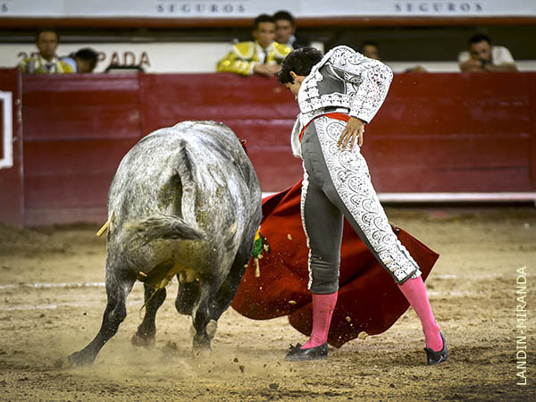 Esforzado en la faena