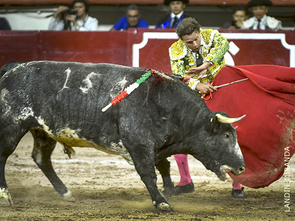 R�fagas, las de su inagotable repertorio