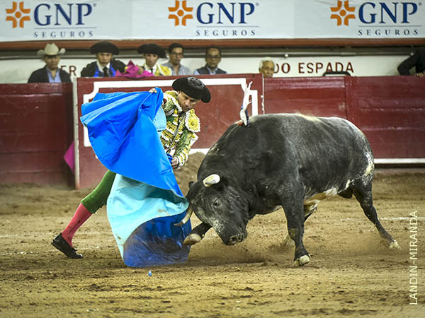 Ferrera, faena de otra galaxia