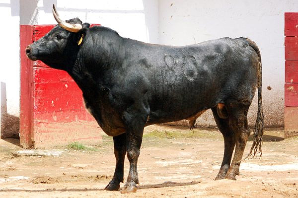 No. 80 (Villa Carmela)