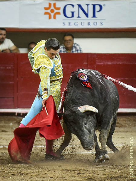 �nimo y valor en su trasteo
