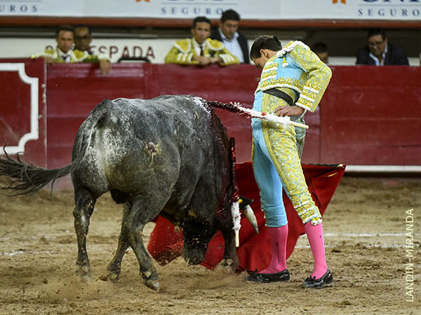 De buena factura por ambos pitones