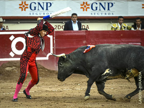 Panita, desmonterado en el par