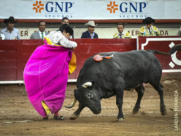 Chicuelinas de Isaac Fonseca