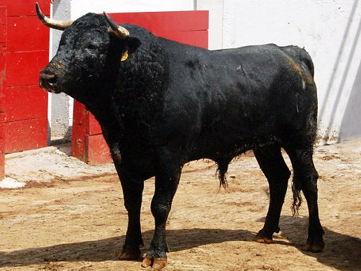 No. 51 (Villa Carmela)