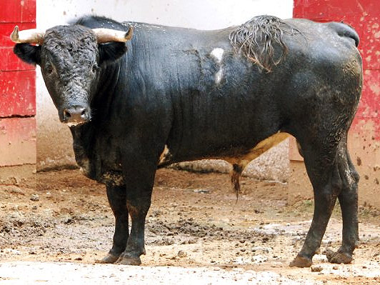 No. 180 (La Muralla)