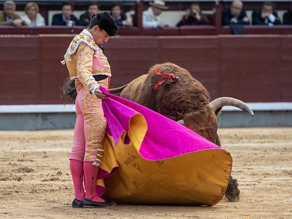 Vertical en las ver�nicas