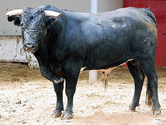 No. 177 (La Muralla)