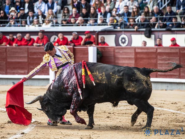 Sobre las reyas del tercio