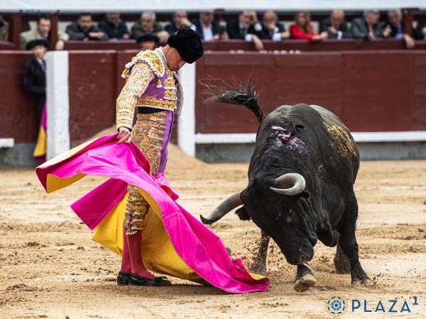David, primer espada