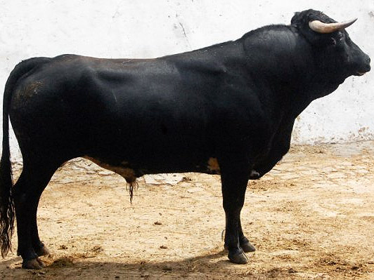 No. 173 (La Muralla)