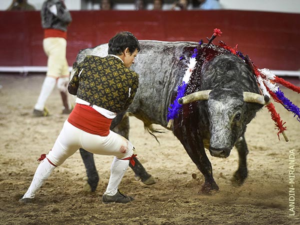Ren� Tirado, carta fuerte en el pa�s