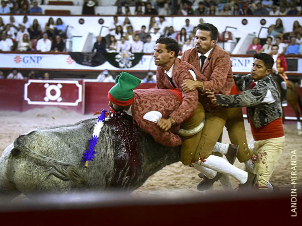 Fabio Vieira, y los amadores mexicanos