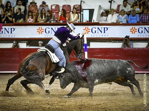 Embestidas francas y con fuerza