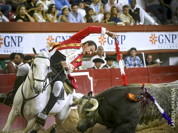 Viol�n por los adentros