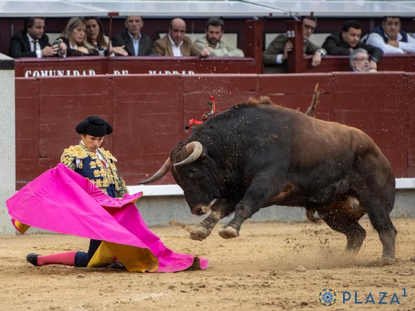 Furia del ejemplar