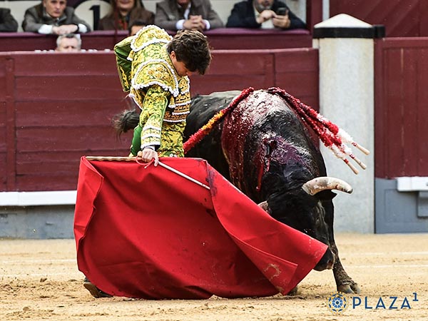 Llev�ndolo toreado