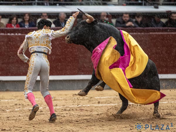 Bajo la llovizna