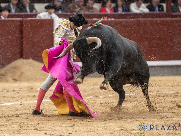 Manos por delante