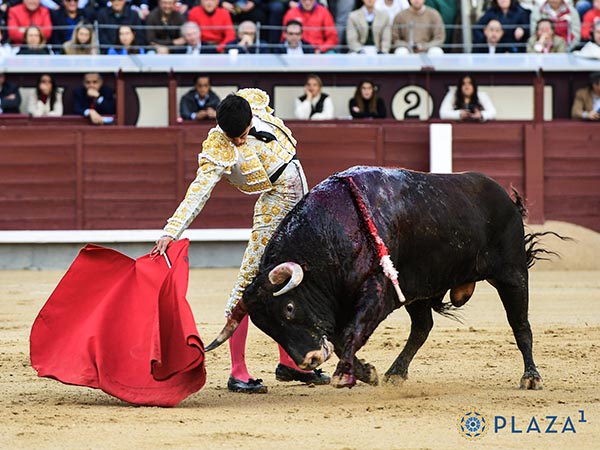 Trazo largo