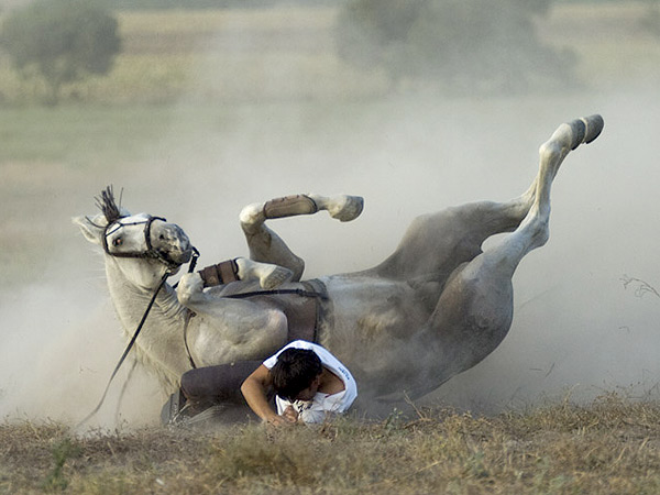 Caballo y caballero por los suelos