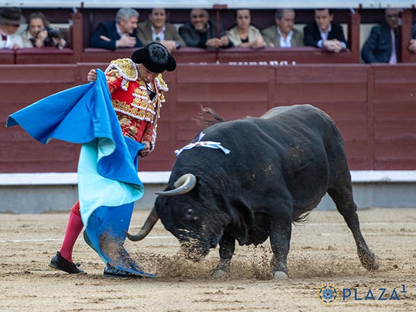 Ferrera a la ver�nica
