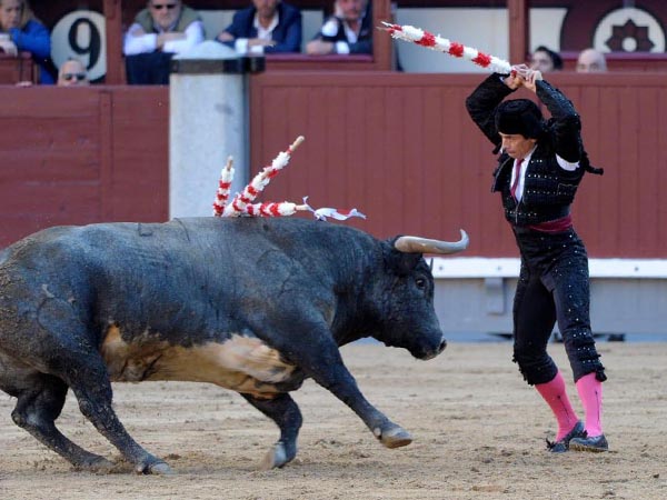 Zacatecano en el ruedo hispano