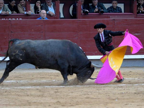 Bregando al negro