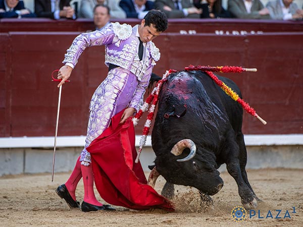 Ratific� sitio en la baraja hispana